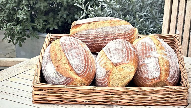 Fresh loaves by the garden — The Globe Bakery, Laugharne