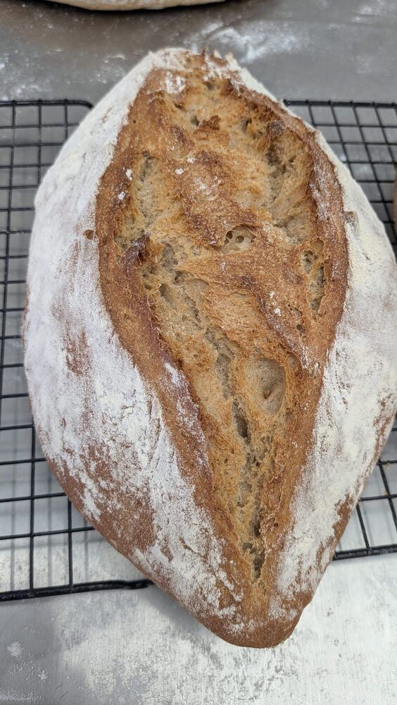 Sourdough — The Globe Bakery, Laugharne